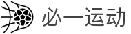 必一(运动科技有限公司)官方网站-B·Sport